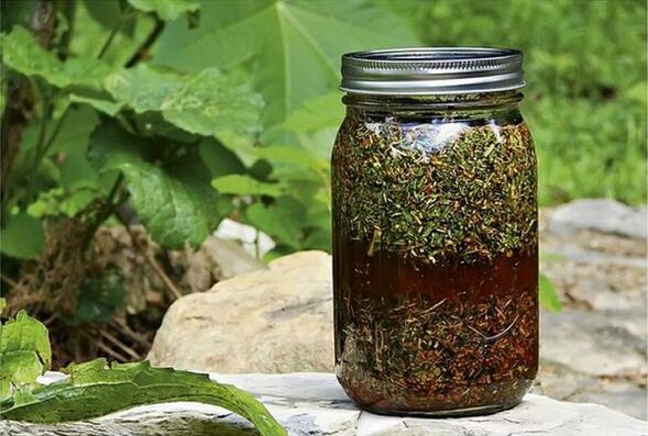 infuzie de plante împotriva paraziților